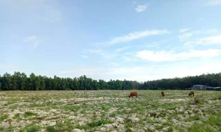 Dự án Green City 3 của Công ty Cổ phần TMDV Xây dựng – Đầu tư phát triển Địa ốc Bình Dương mở bán khi chưa có pháp lý