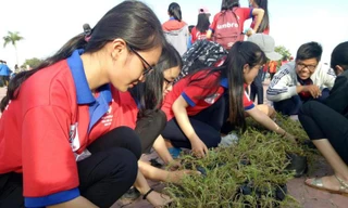 Nhiều hoạt động ý nghĩa của đoàn viên trong chiến dịch “Hoa phượng đỏ”