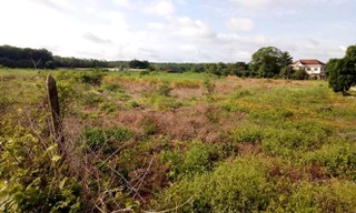 Đề xuất thu hồi gần 20ha đất và biệt thự của cựu Bí thư thị xã Bến Cát