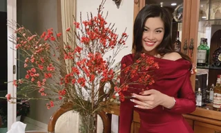 Á hậu Diễm Trang đón Tết cùng con gái ở Sài Gòn, không thể đoàn tụ cùng chồng vì dịch bệnh