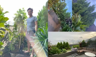 Cận cảnh sân thượng như khu vườn nhiệt đới, tự tay chăm sóc mỗi ngày của Cường Đôla