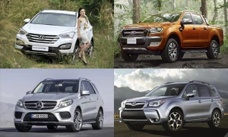 Chọn xe gì chơi Tết?