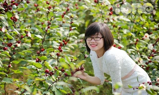 Giới trẻ đổ xô chụp ảnh cùng hoa lạ