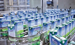 Vinamilk và chiến lược chinh phục thị trường quốc tế