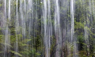  Nơi nào ‘ẩm ướt nhất’ trên thế giới, mưa 335 ngày một năm