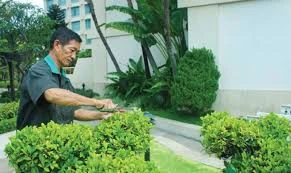 Đầu tư hơn 200 tỷ đồng cho 114 dự án cây xanh