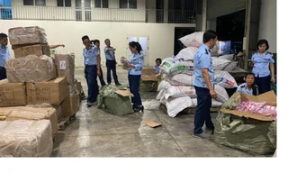 Thu giữ gần 7.000 điếu xì gà ngoại nhập