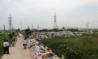 Môi trường nông nghiệp, nông thôn chịu sức ép 'tứ phía'