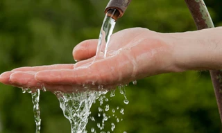 Tìm giải pháp cải thiện chất lượng nước ven biển vịnh Bắc Bộ