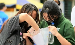 Điểm 10 môn Sinh tốt nghiệp THPT hạ nhiệt, chỉ bằng 1/4 năm trước