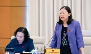 Nhiều người cứ về Việt Nam thì vượt đèn đỏ