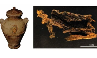 Phát hiện giật mình trong mộ cổ ở Vương cung Thánh đường San Lorenzo