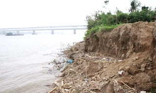 Sông Hồng bị sạt lở do mực nước thấp 