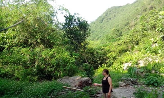 Thực hư đất được rao bán giá 2.000 đồng/m2