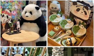 Gấu trúc ‘xâm chiếm’ Thành Đô - Trung Quốc 