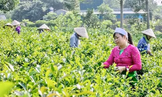 Hà Nội chi 1.100 tỷ đầu tư cơ sở hạ tầng cho vùng đồng bào dân tộc miền núi