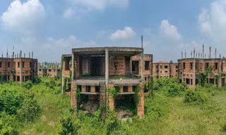 Thành phố 'ma' Nhơn Trạch hoang tàn, thành nơi thả trâu sau 20 năm