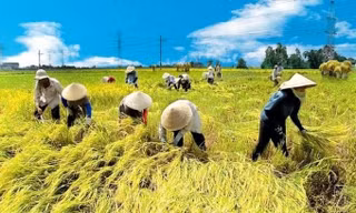 Đưa nông sản Việt vượt bão thuế, hướng tới kim ngạch 65 tỷ USD