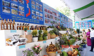 Hỗ trợ phụ nữ dân tộc thiểu số phát triển kinh tế
