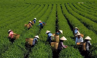 Hỗ trợ đồng bào dân tộc thiểu số và miền núi kinh doanh, khởi nghiệp