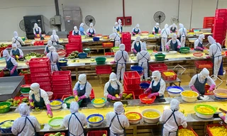 Khánh thành dây chuyền bao bì giấy đầu tiên tại Việt Nam