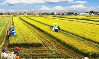 Đề xuất miễn thuế sử dụng đất nông nghiệp thêm 5 năm