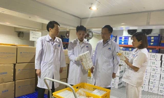 Indonesia nhập khẩu vắc xin dịch tả lợn châu Phi của Việt Nam 