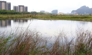 2 khu đất liên quan vụ giám đốc doanh nghiệp uống thuốc tự tử tại tòa giờ ra sao?