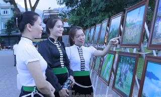 Thúc đẩy bình đẳng giới trong nông nghiệp và phát triển nông thôn