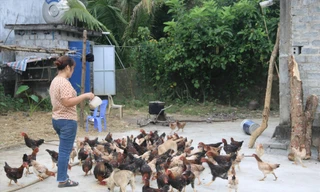 Hòa Bình chi 960 tỷ đồng thực hiện Chương trình Giảm nghèo bền vững giai đoạn 2022-2025