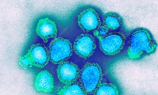 THẾ GIỚI 24H: Bùng phát dịch cúm A H3N2 tại nhiều tỉnh của Campuchia