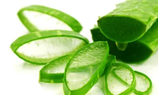 Dùng nha đam kiểu này không khác nào đưa 'thuốc độc' vào người