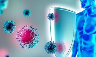 Những thói quen xấu 'tàn phá' hệ miễn dịch khiến cho bạn 'ốm đau triền miên'