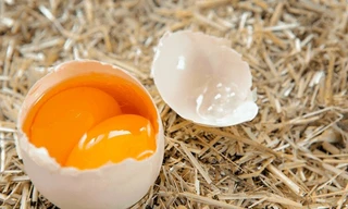 Đề nghị Bộ Công an điều tra, xử lý tin đồn trứng giả gây hoang mang