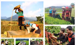 Tăng cường tháo gỡ khó khăn, thúc đẩy triển khai thực hiện 3 chương trình mục tiêu quốc gia