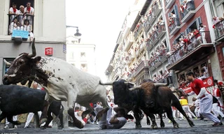 Ảnh minh họa tại lễ hội bò tót ở San Fermin 