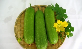 Sai lầm cần tránh tuyệt đối khi giảm cân bằng bí đao kẻo ngộ độc, mất mạng