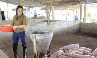 Tuyên Quang giúp người dân ổn định sinh kế để giảm nghèo