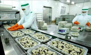 Trung Quốc chi 8 triệu USD mua nghêu Việt Nam