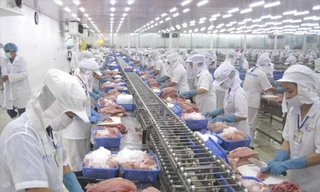 Việt Nam vừa thu 28 tỷ USD nông sản, khách nào 'sộp' nhất?