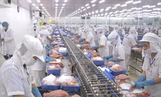 Việt Nam vừa thu 28 tỷ USD nông sản, khách nào 'sộp' nhất?