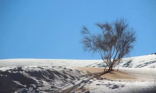 Cảnh tượng cực hiếm: Băng tuyết bất thường phủ trắng sa mạc Sahara