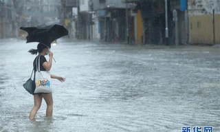 Bão Higos giật cấp 12 càn quét miền nam Trung Quốc