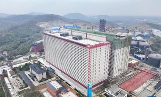 Đề xuất xây 'chung cư' cho... lợn 