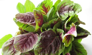 Mùa hè ăn rau dền mát bổ nhưng tuyệt đối không ăn theo cách này kẻo hại thân