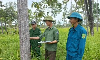 Quan tâm đào tạo nghề cho lao động vùng dân tộc thiểu số
