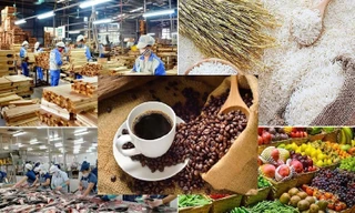 Lộ diện 'ngôi sao' sáng nhất của nông sản Việt Nam