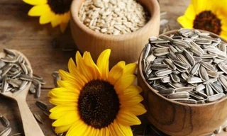 Hạt hướng dương tốt cho sức khỏe nhưng ăn quá nhiều có thể gây ra 'tác dụng phụ' kinh hoàng này