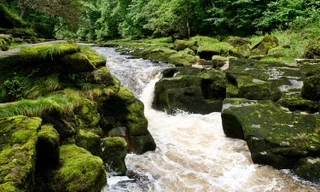 Dòng suối Bolton Strid ở Yorkshire, Anh