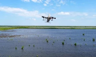 Nông dân Nga dùng máy bay không người lái để trồng lúa